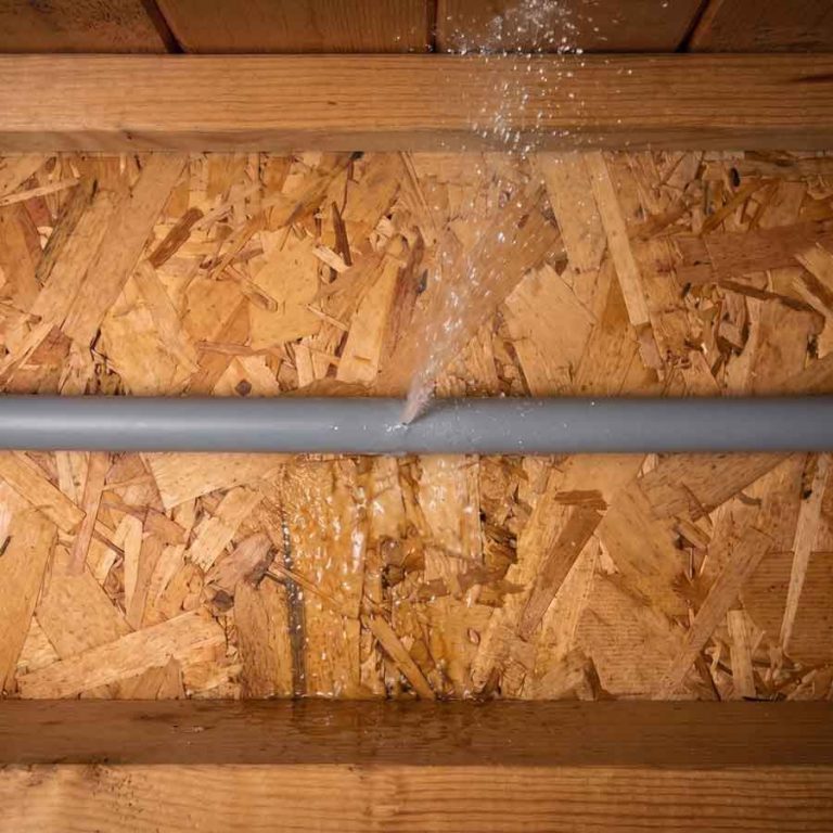 The Homeowner’s Handbook on Poly B Plumbing